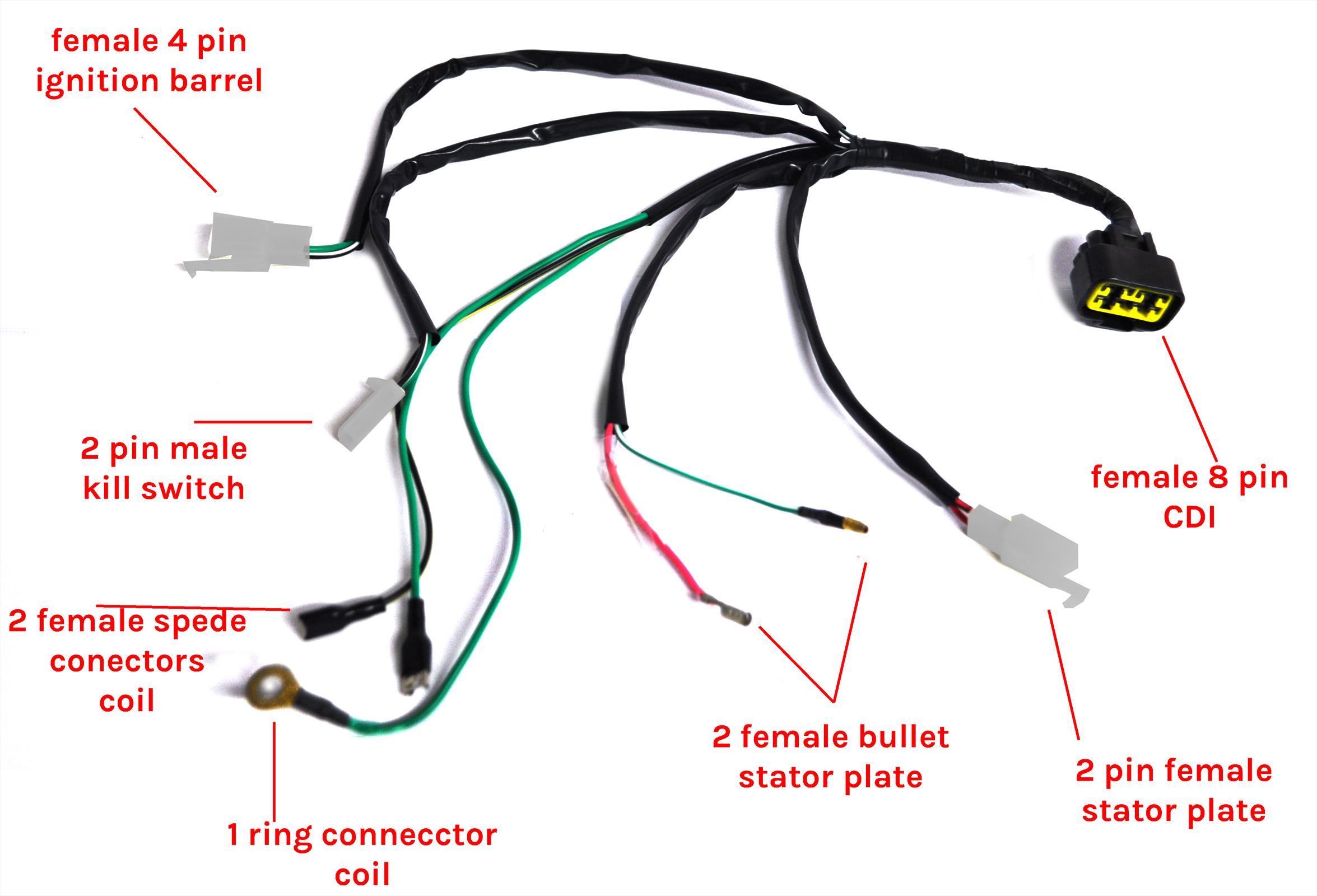 Simple Pit Bike Wiring Diagram - Data Diagram Medis