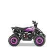 Mini Quad Bikes