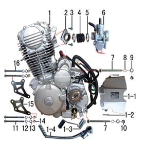 250cc pit bike engine