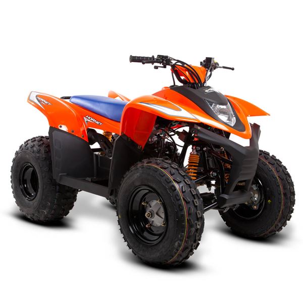 junior quad bike