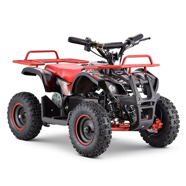 electric quad bike 800w